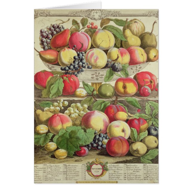 September, von 'zwölf Monaten Früchten (Vorne)