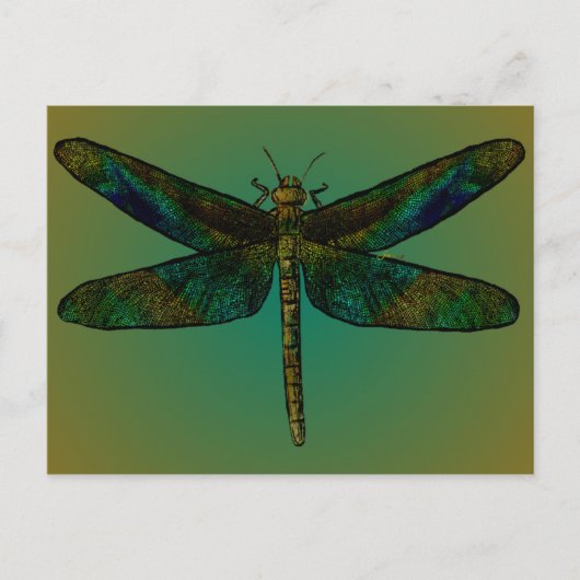 September Wing Dusk Postcard Postkarte (Vorderseite)