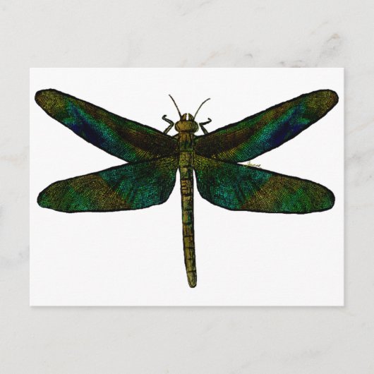 September Wing Postcard Postkarte (Vorderseite)