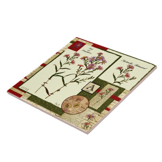 Septembers Blume Fliese (Seite)