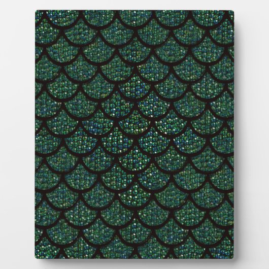 Sequenzmermaid Fotoplatte (Vorderseite)