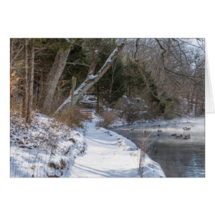 Sequiota Winter Walk