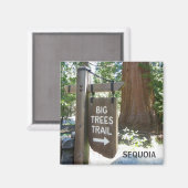 Sequoia Big Trees Trail Magnet! Magnet (Vorderseite/Rückseite)