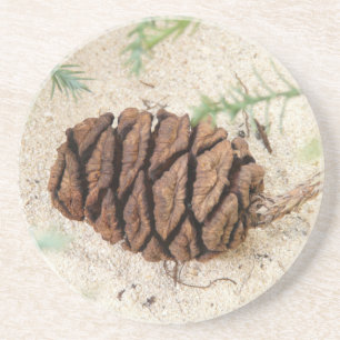 Sequoia Cone Untersetzer