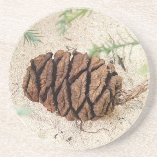 Sequoia Cone Untersetzer (Vorne)