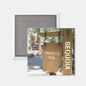 Sequoia/Congress Trail Magnet! Magnet (Vorderseite/Rückseite)