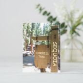 Sequoia/Congress Trail Postcard! Postkarte (Stehend Vorderseite)