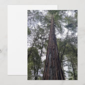 Sequoia Flat Holiday Card Feiertagskarte (Vorne/Hinten)