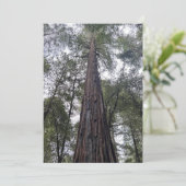 Sequoia Flat Holiday Card Feiertagskarte (Stehend Vorderseite)