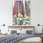 Sequoia Forest im Winter Leinwanddruck (Insitu (Schlafzimmer))