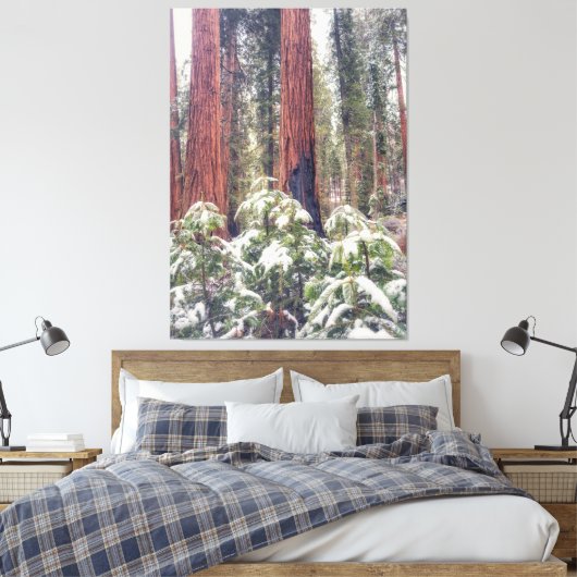 Sequoia Forest im Winter Leinwanddruck (Insitu (Schlafzimmer))