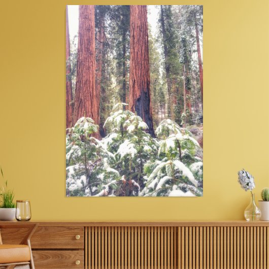 Sequoia Forest im Winter Leinwanddruck (Insitu (Wohnzimmer))