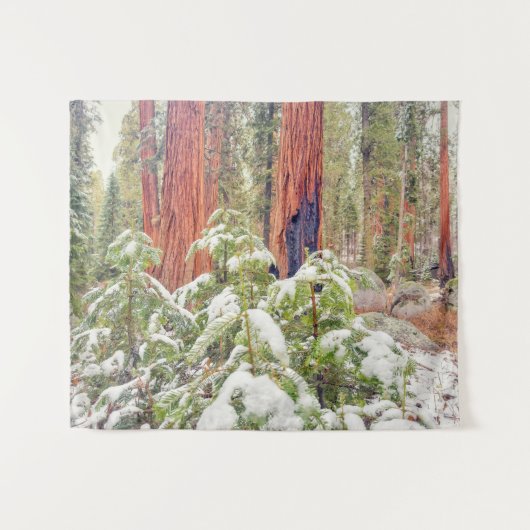 Sequoia Forest Landschaft im Winter Wandteppich (Vorderseite (Horizontal))