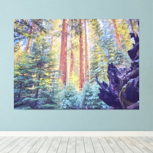 Sequoia Forest Leinwanddruck (Insitu (Holzboden))