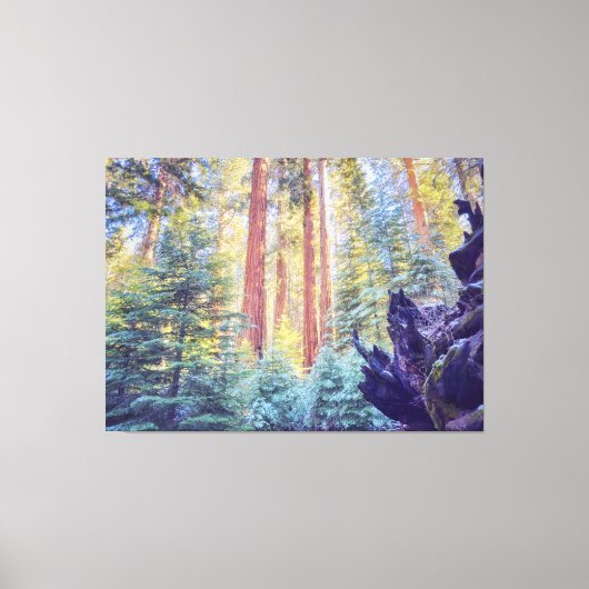Sequoia Forest Leinwanddruck (Vorderseite)