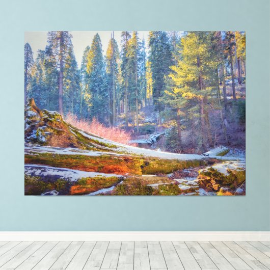 Sequoia Forest Leinwanddruck (Insitu (Holzboden))