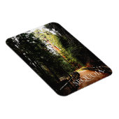 Sequoia Forest, Park Trail, Sequoia Nationalpark Magnet (Rechte Seite)