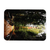 Sequoia Forest, Park Trail, Sequoia Nationalpark Magnet (Horizontal)