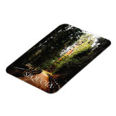 Sequoia Forest, Park Trail, Sequoia Nationalpark Magnet (Linke Seite)