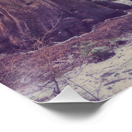 Sequoia Forest Poster (Ecke)