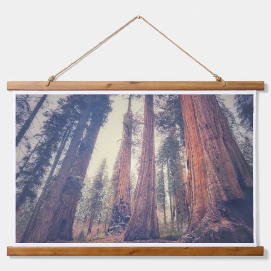 Sequoia Forest Wandteppich Mit Holzrahmen (Vorne)