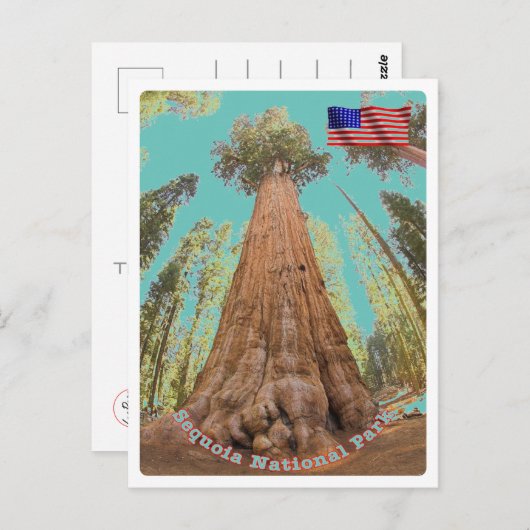 Sequoia - General Sherman Tree - Vereinigte Staate Postkarte (Vorne/Hinten)