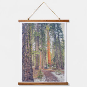 Sequoia im Wald Wandteppich Mit Holzrahmen