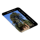 Sequoia Kings Canyon Magnet (Rechte Seite)