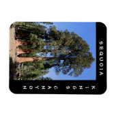 Sequoia Kings Canyon Magnet (Horizontal)