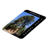 Sequoia Kings Canyon Magnet (Linke Seite)