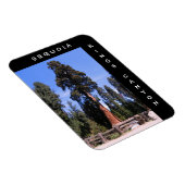 Sequoia Kings Canyon Magnet (Rechte Seite)