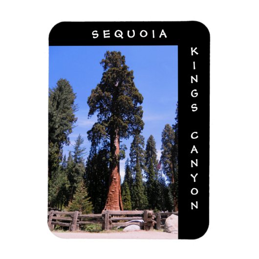 Sequoia Kings Canyon Magnet (Vertikal)