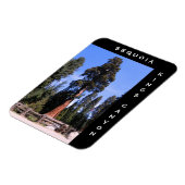 Sequoia Kings Canyon Magnet (Linke Seite)
