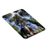 Sequoia Kings Canyon Magnet (Rechte Seite)