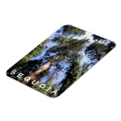 Sequoia Kings Canyon Magnet (Linke Seite)