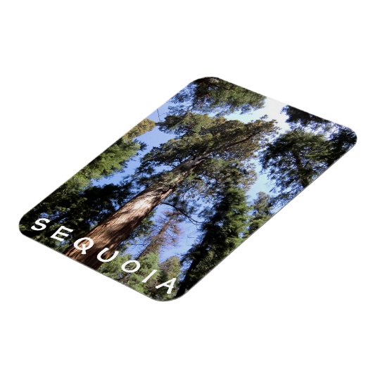 Sequoia Kings Canyon Magnet (Linke Seite)