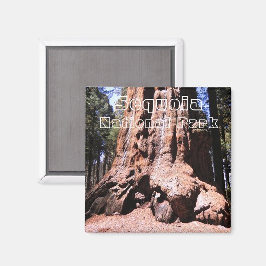 Sequoia/Kings Canyon Nationalpark Magnet (Vorderseite/Rückseite)