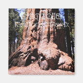 Sequoia/Kings Canyon Nationalpark Magnet (Vorne)