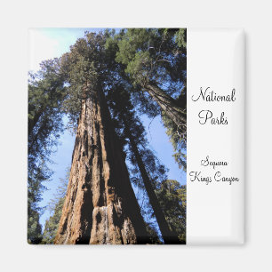 Sequoia/Kings Canyon Nationalpark Magnet