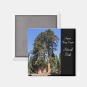 Sequoia/Kings Canyon Nationalpark Magnet (Vorderseite/Rückseite)