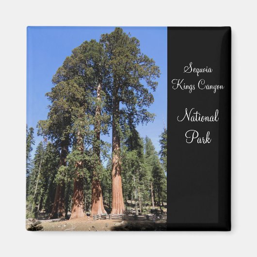 Sequoia/Kings Canyon Nationalpark Magnet (Vorne)