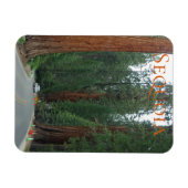 Sequoia/Kings Canyon Nationalpark Magnet (Horizontal)