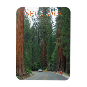 Sequoia/Kings Canyon Nationalpark Magnet