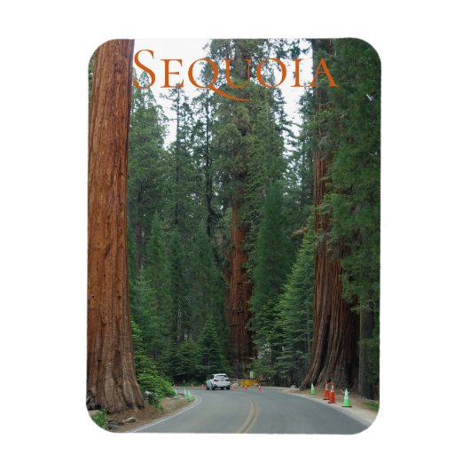 Sequoia/Kings Canyon Nationalpark Magnet (Vertikal)