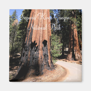 Sequoia/Kings Canyon Nationalpark Magnet
