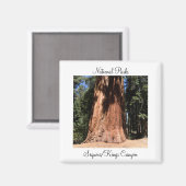 Sequoia Kings Canyon Nationalpark Magnet (Vorderseite/Rückseite)