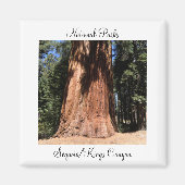 Sequoia Kings Canyon Nationalpark Magnet (Vorne)