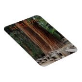 Sequoia/Kings Canyon Nationalpark Magnet (Rechte Seite)