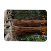 Sequoia/Kings Canyon Nationalpark Magnet (Horizontal)