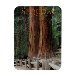 Sequoia/Kings Canyon Nationalpark Magnet